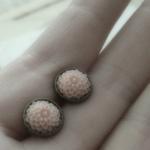 Antiqued Brass Mini Mum Earrings In Palest Pink
